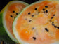 Israeli Fresh Organic Orangeglo Watermelon * 10 Seeds * Citrullus lanatus RARE
