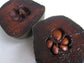 Diospyros Digyna - Chocolate Pudding Fruit