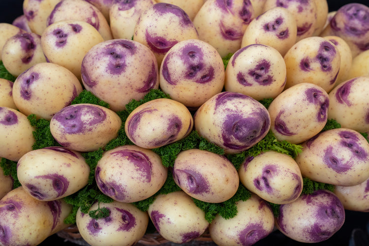 Potatoes - True Seeds