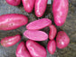 Himalayas Red Potato - 10 Seeds - TPS True Potato Seeds - Rare