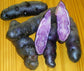 Maori Potato Black - 10 Seeds - TPS True Potato Seeds - Rare