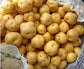 Amarilla Tumbay Potato - 10 Seeds - TPS True Potato Seeds - Rare