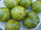 Green Zebra Chefs Tomato Fast Growing 10 Seeds
