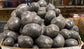 Black Potato - Shetland Black Potato - 10 Seeds - TPS True Potato Seeds - Rare