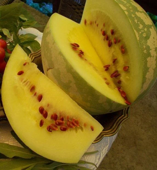 White Yellow Watermelon - Red Seeds