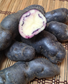 Maori Tutaekuri Potato - 10 Seeds - TPS True Potato Seeds - Rare