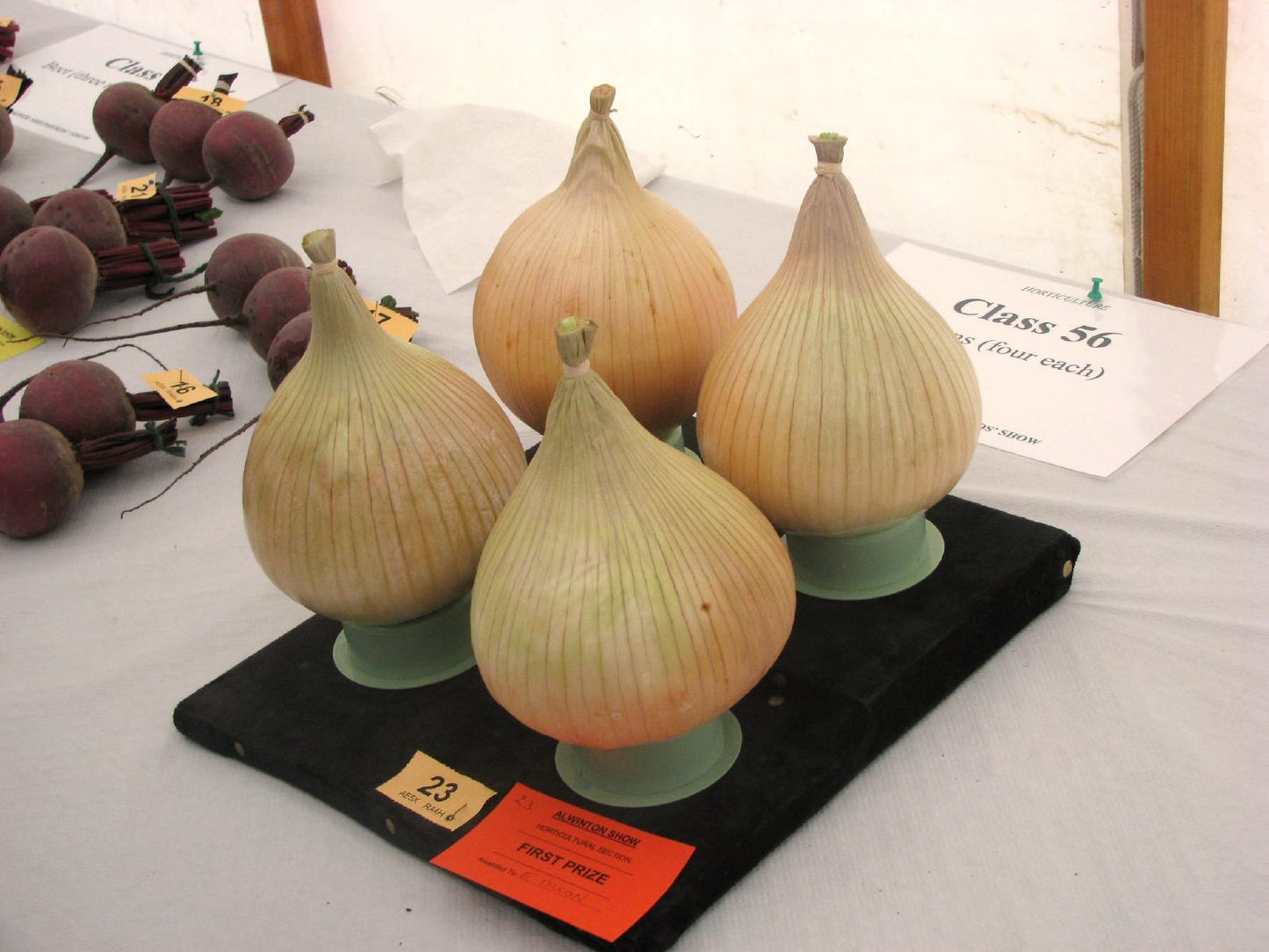 Giant Onion Golden-Skinned - Jan 2022 Winner Award Exhibition - 20 Fresh Seeds - Up To 1Kg