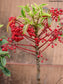 Ardisia Crenata - Christmas Berry - Extremely Rare - 3 Seeds