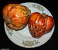 Annona Reticulata - 5 Seeds - Wild Sweetsop Custard Apple - Fresh Seeds - RARE