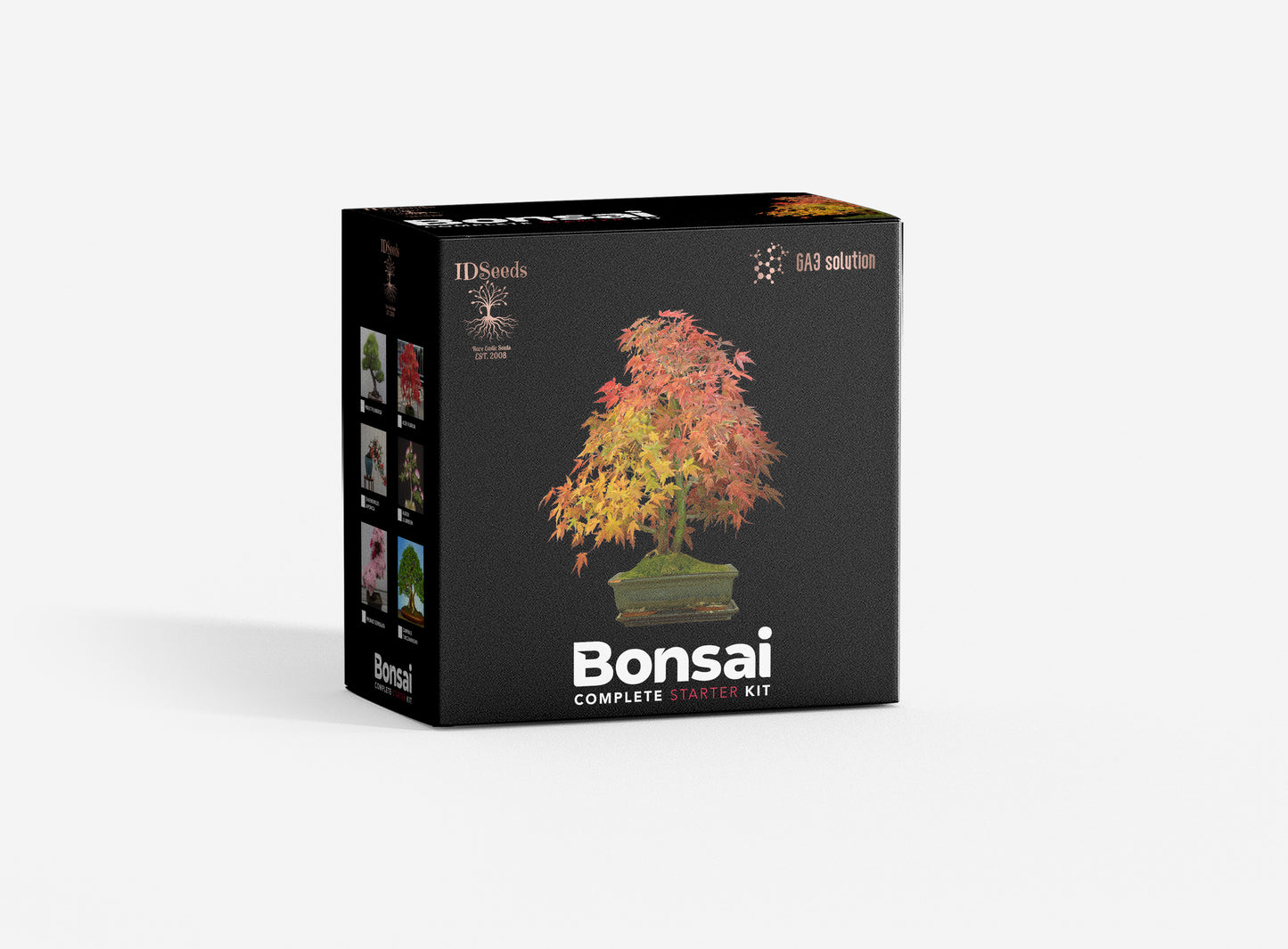 Bonsai Full Kit with 6 Types of seeds