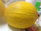 Rare Israeli Golden Honey Melon UNIQUE Shape & Taste Fresh Organic 20 Seeds E-Z Grow