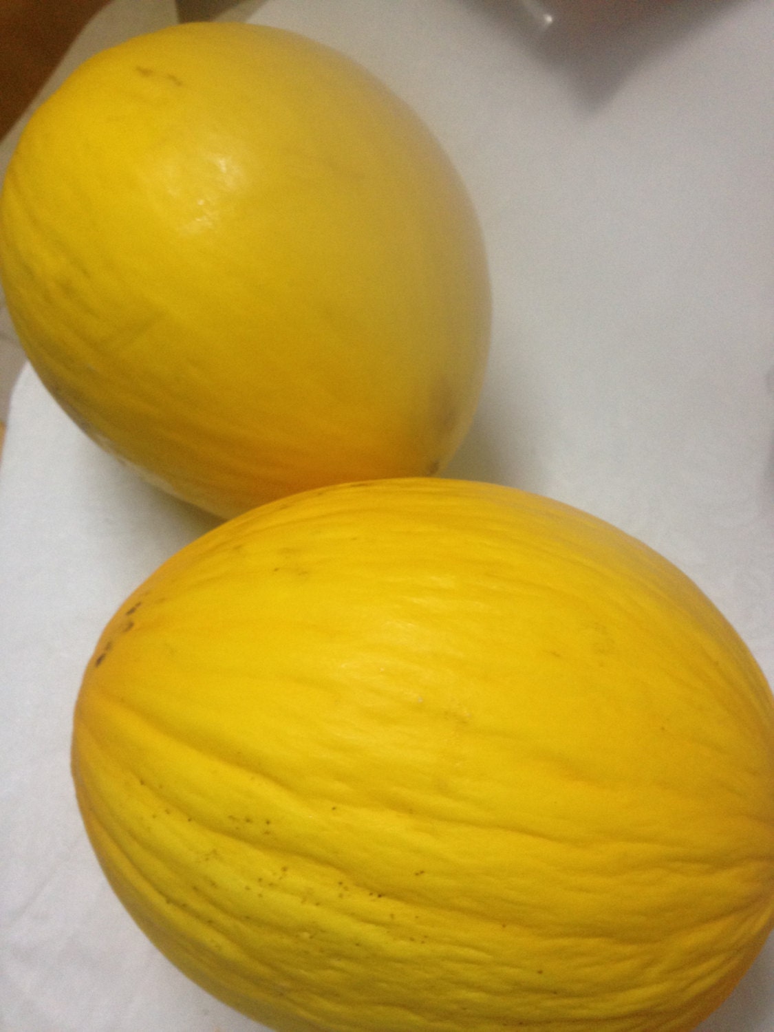 Rare Israeli Golden Honey Melon UNIQUE Shape & Taste Fresh Organic 20 Seeds E-Z Grow