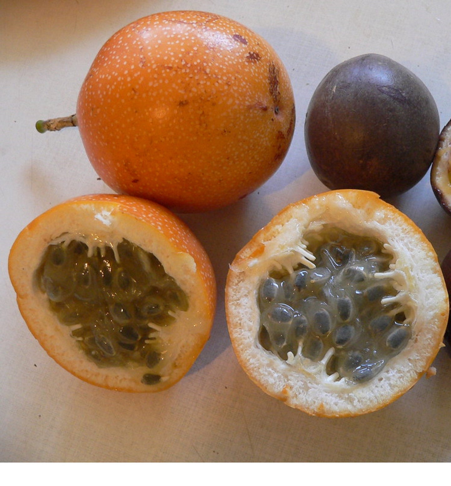 Passiflora Ligularis * Sweet Granadilla Maracuja Passion Fruit * 10 Fresh Seeds *