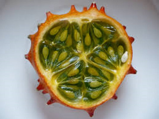 Cucumis Metuliferus * Melone di gelatina cornuto africano * Kiwano * 20 semi freschi *