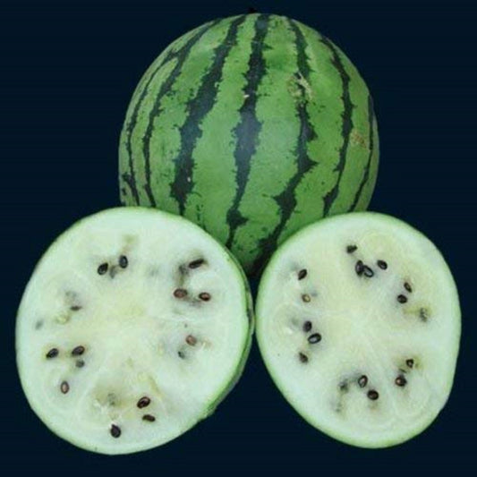 White Wonder Watermelon * Heirloom White Fleshed Fruit * 5 Rare Seeds *