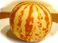 Melone Tigro ~ Cucumis Melo ~ Ornamentale Commestibile Delizioso ~ Cantalupo Esotico ~ 10 Semi ~