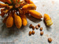 Uvaria Grandiflora - Rare Shrub - Medical Fruits - 5 Seeds - Semillas Graines семена