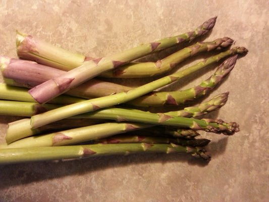 Mary Washington Asparagus - Semi di ortaggi biologici perenni - 10 semi