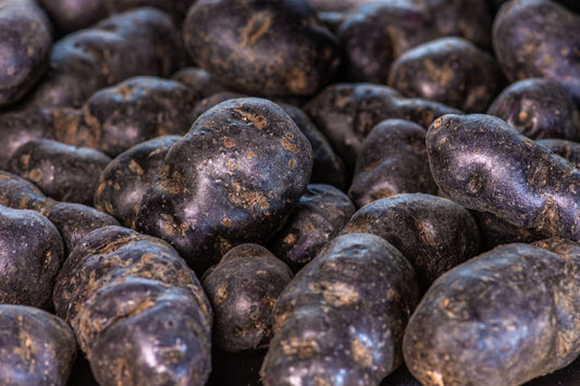 Solanum Tuberosum-TPS True Black Dark Night Potato Seeds-10 True Coated Seeds-Not Root-Grow Your Own Potato