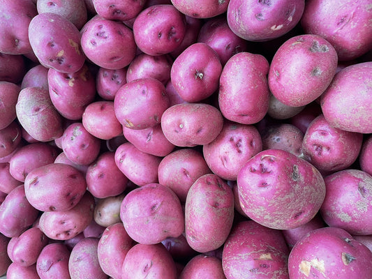 Solanum Tuberosum - Semi di patate boliviane TPS True Purple - 10 semi veri - Non radice - Coltiva la tua patata