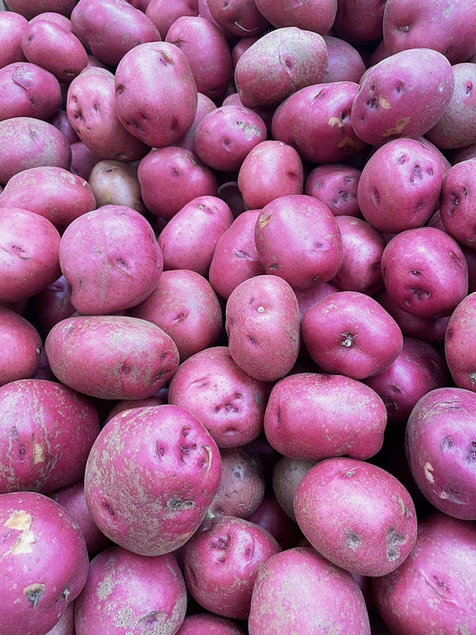 Solanum Tuberosum - Semi di patate boliviane TPS True Purple - 10 semi veri - Non radice - Coltiva la tua patata