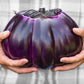 Prosperosa Eggplant - Heirloom Italian Fat Eggplant Aubergine - 10 Seeds