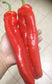 Israeli Heirloom Red HUGE Marconi Sweet Pepper 6-8" Very Long 15 Fresh Seeds