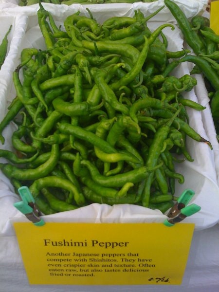 Capsicum Annuum * Fushimi * Asian Sweet Pepper * 25 Fresh SeedS *