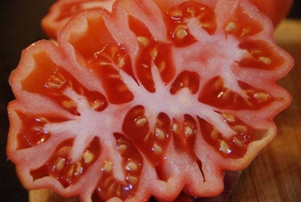 Solanum mexicano Lycopersicum Zapotec Rosa com nervuras Tomate Heirloom 15 Sementes