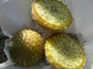 Eulychnia Acida Cactaceae * Copao * Espécies Ameaçadas * 10 Sementes Frescas * RARA
