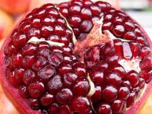 Israeli Sweet Organic Pomegranate 30+ Fresh Seeds Punica Granatum BonSai RaRe!