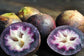 Chrysophyllum Cainito * Caimito * Purple Star Apple * 3 Rare Fresh Seeds * LIMITED