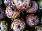 Cynara Cardunculus Scolymus * Violetta Di Chioggia Purple Artichoke * RARE 5 Seeds