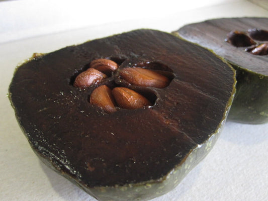 Diospyros Digyna BLACK SAPOTE Cachi Budino al cioccolato Frutta * 5 semi * Semi molto freschi 2022 * RARO