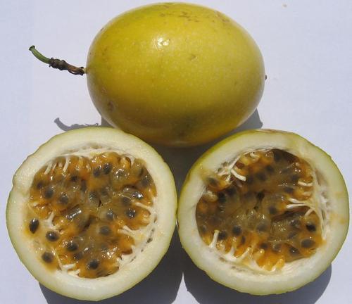Passiflora Edulis F. Flavicarpa - Yellow Passion Fruit - 10 Fresh Seeds