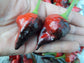 Capsicum Annuum - Unique Variety Red Black Stripped Chilli Pepper Rare - 10 Seeds - Limited