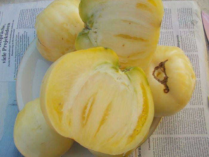 Solanum lycopersicum - Very Rare - White Alba Tomato - 10 Seeds - Fresh Seeds