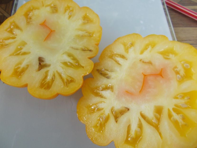 Solanum lycopersicum Yellow Monstros Tomato